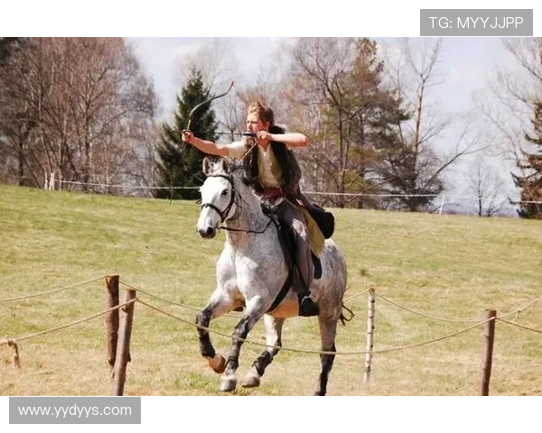 射箭历史发展与各国射箭成绩排名分析及其影响因素探讨 射箭历史发展与各国射箭成绩排名分析及其影响因素探讨