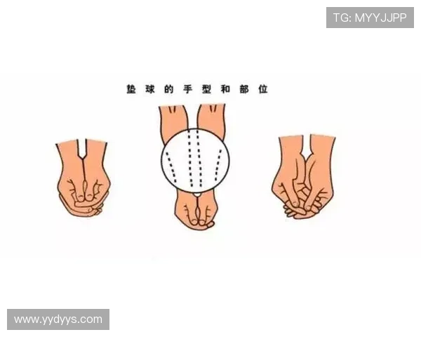 排球比赛规则详解及常见犯规解析助你轻松掌握竞技技巧 排球比赛规则详解及常见犯规解析助你轻松掌握竞技技巧