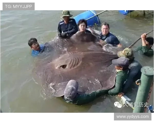 纵览游泳世界纪录演变揭示人类速度与耐力极限之旅