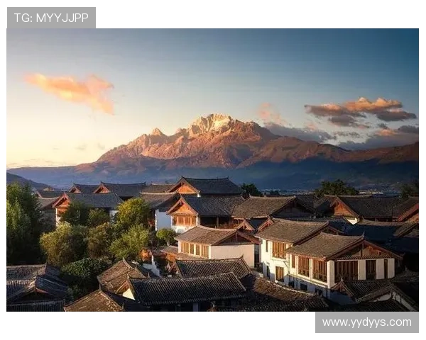 全面解读皮划艇比赛训练与安全规则的系统入门指南实用解析详解